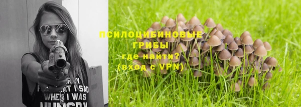 apvp Ижевск