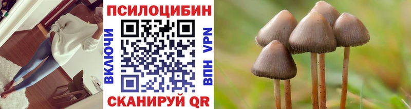Купить закладки  Луга  Псилоцибиновые грибы Psilocybe 