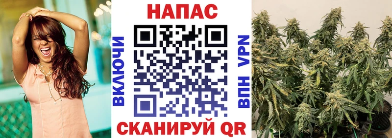 Купить  Луга  Бошки марихуана планчик 